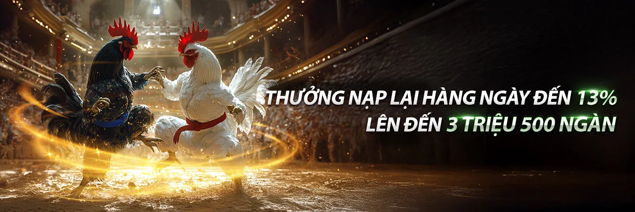 Hello888 Blog – Cổng thông tin cá cược hàng đầu